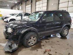 Salvage cars for sale at Blaine, MN auction: 2003 Ford Escape XLT