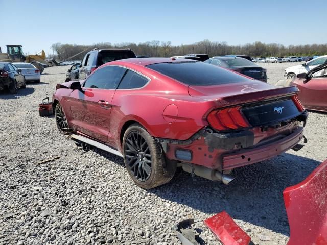 2019 Ford Mustang