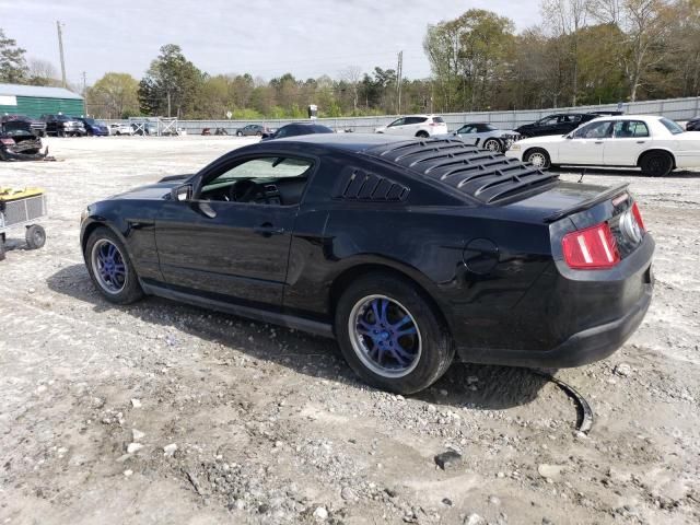 2010 Ford Mustang