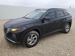 Vehiculos salvage en venta de Copart Arcadia, FL: 2023 Hyundai Tucson SEL
