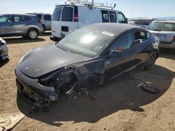 2021 Tesla Model 3 for sale in Brighton, CO