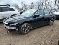 Salvage cars for sale from Copart Central Square, NY: 2019 Honda Insight EX