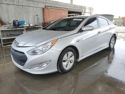 Salvage cars for sale from Copart West Palm Beach, FL: 2015 Hyundai Sonata Hybrid