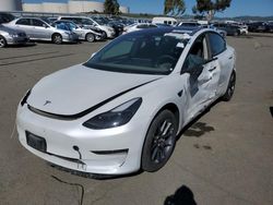 2023 Tesla Model 3 for sale in Martinez, CA