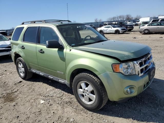 2008 Ford Escape XLT