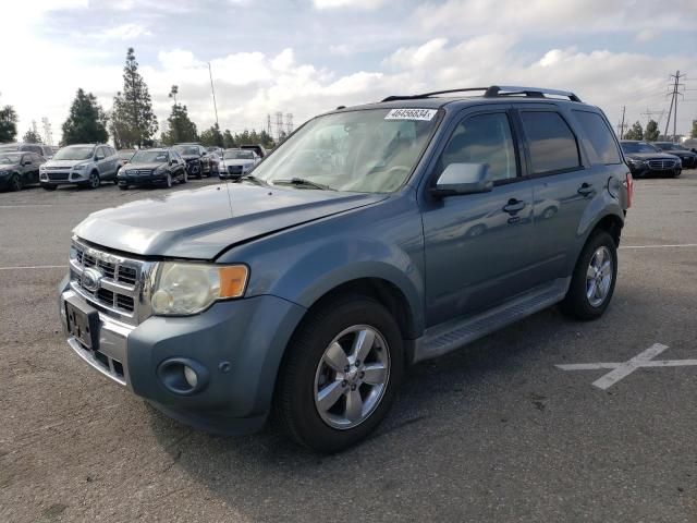 2010 Ford Escape Limited