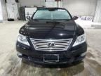 2011 Lexus LS 460