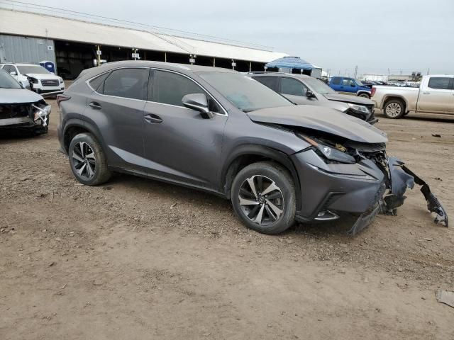 2021 Lexus NX 300 Base