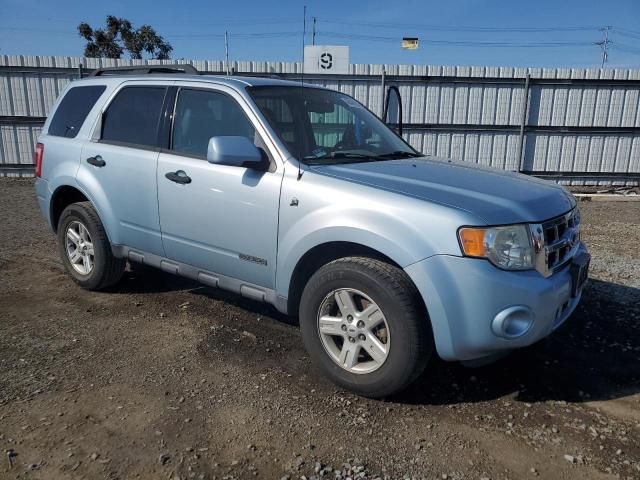 2008 Ford Escape HEV