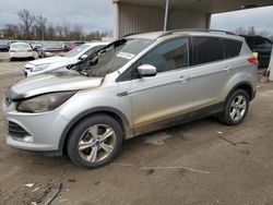 Ford salvage cars for sale: 2014 Ford Escape SE