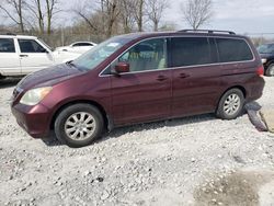 Salvage cars for sale from Copart Cicero, IN: 2008 Honda Odyssey EX