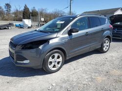 Salvage cars for sale from Copart York Haven, PA: 2015 Ford Escape SE