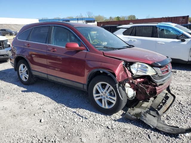 2010 Honda CR-V EXL