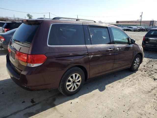 2010 Honda Odyssey EXL