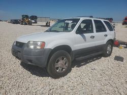 Salvage cars for sale from Copart New Braunfels, TX: 2004 Ford Escape XLT