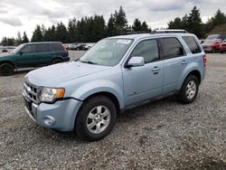 Ford Escape Hybrid salvage cars for sale: 2009 Ford Escape Hybrid