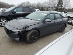 Hyundai Elantra salvage cars for sale: 2023 Hyundai Elantra Blue