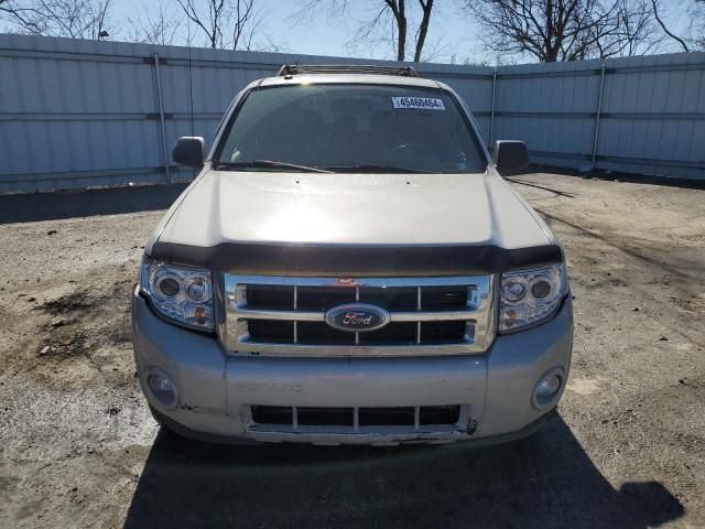 2008 Ford Escape XLT