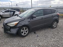 Salvage cars for sale from Copart Lawrenceburg, KY: 2016 Ford Escape SE