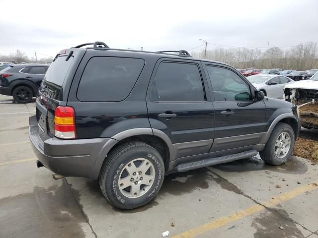 2004 Ford Escape XLT