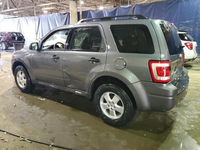 2009 Ford Escape XLT