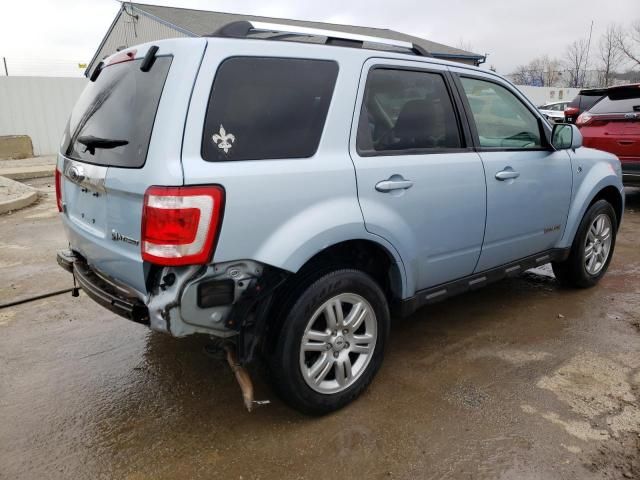 2008 Ford Escape HEV