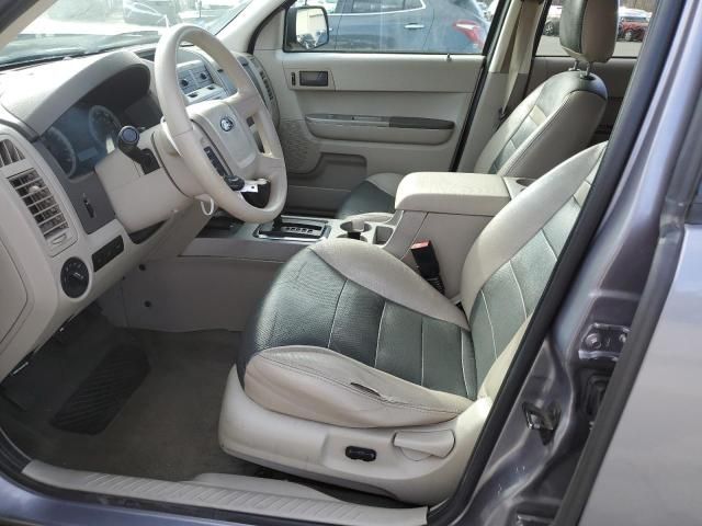 2008 Ford Escape XLT