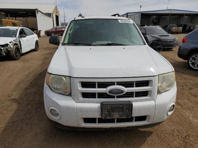 2009 Ford Escape Hybrid