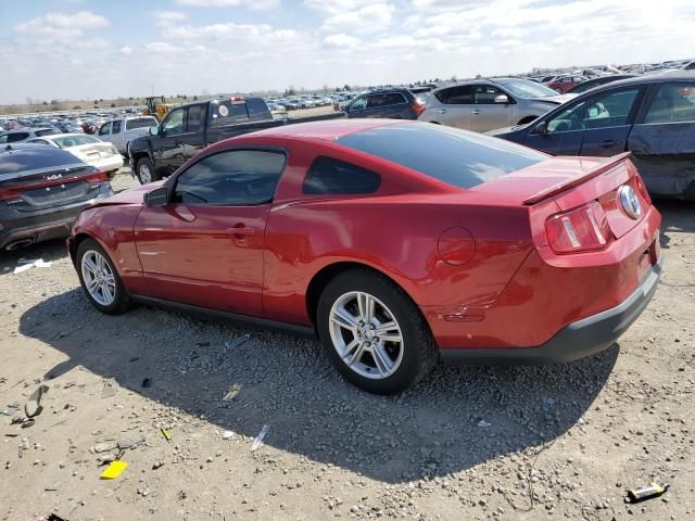 2010 Ford Mustang