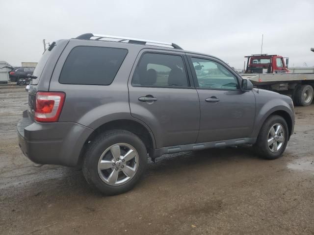 2011 Ford Escape Limited