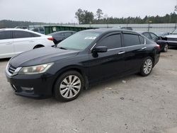 Salvage cars for sale at Harleyville, SC auction: 2013 Honda Accord EXL