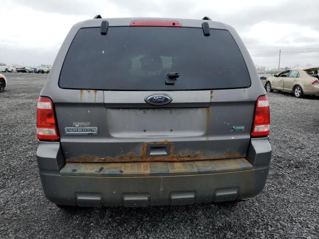 2010 Ford Escape XLT