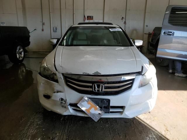 2011 Honda Accord EXL