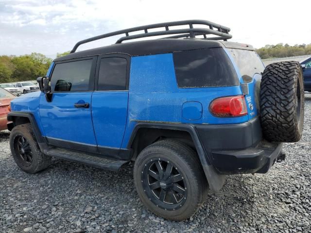 2007 Toyota FJ Cruiser