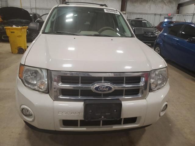 2011 Ford Escape XLT