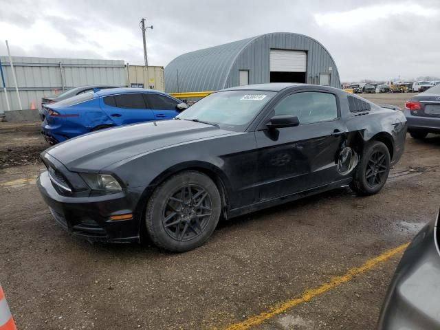 2013 Ford Mustang