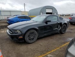 Ford Mustang salvage cars for sale: 2013 Ford Mustang