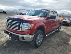 Ford F-150 Vehiculos salvage en venta: 2012 Ford F150 Supercrew