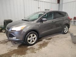 Salvage cars for sale at Franklin, WI auction: 2014 Ford Escape SE