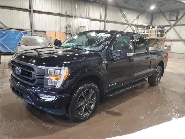 2023 Ford F150 Supercrew