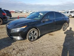 Hyundai Elantra Limited salvage cars for sale: 2022 Hyundai Elantra Limited