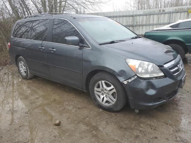 2005 Honda Odyssey EXL