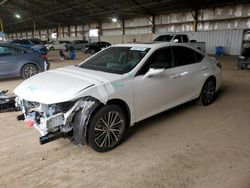 Lexus ES300 salvage cars for sale: 2023 Lexus ES 300H Base