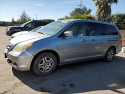 Salvage cars for sale at San Martin, CA auction: 2006 Honda Odyssey EX