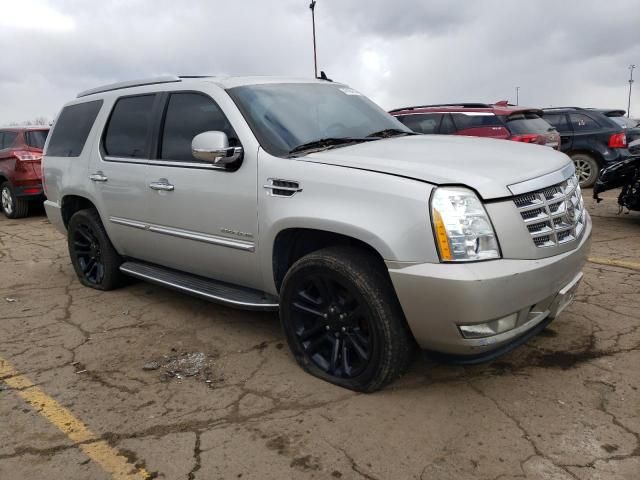 2011 Cadillac Escalade Luxury