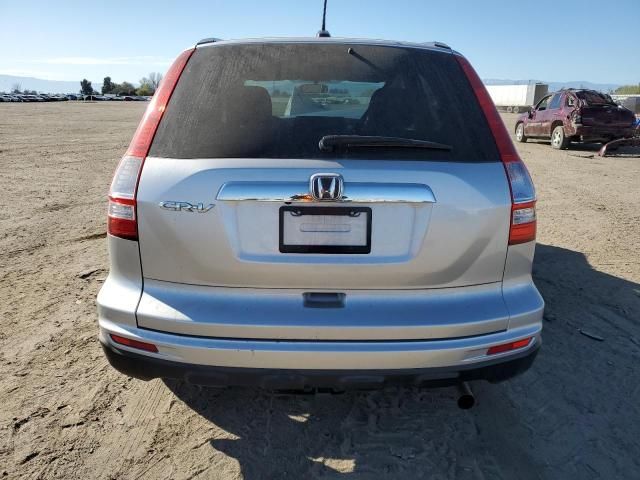 2010 Honda CR-V EXL