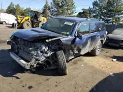 Salvage cars for sale at Denver, CO auction: 2019 Toyota 4runner SR5