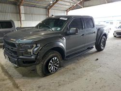 Salvage cars for sale at Greenwell Springs, LA auction: 2019 Ford F150 Raptor