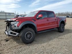 Salvage cars for sale from Copart Hillsborough, NJ: 2019 Ford F150 Raptor
