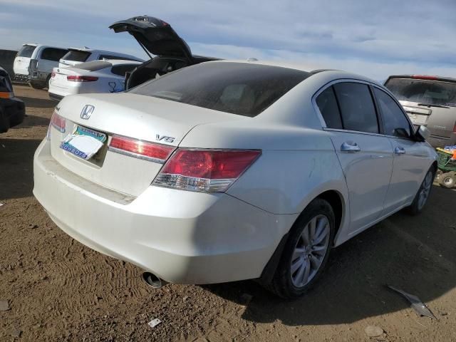 2011 Honda Accord EXL